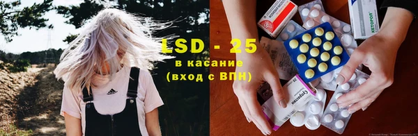 стафф Зерноград